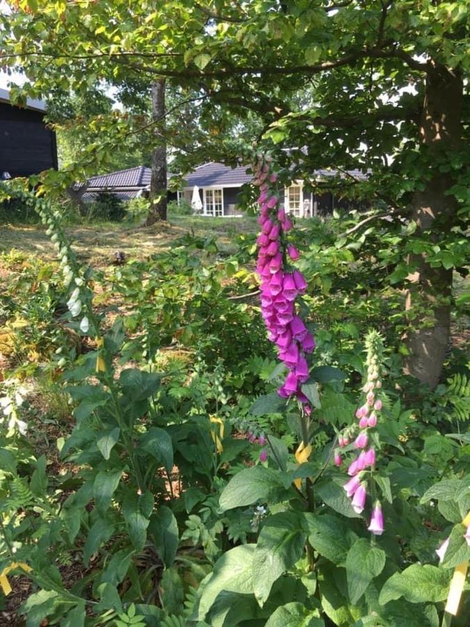 Backahusets B&B Höör Exteriér fotografie