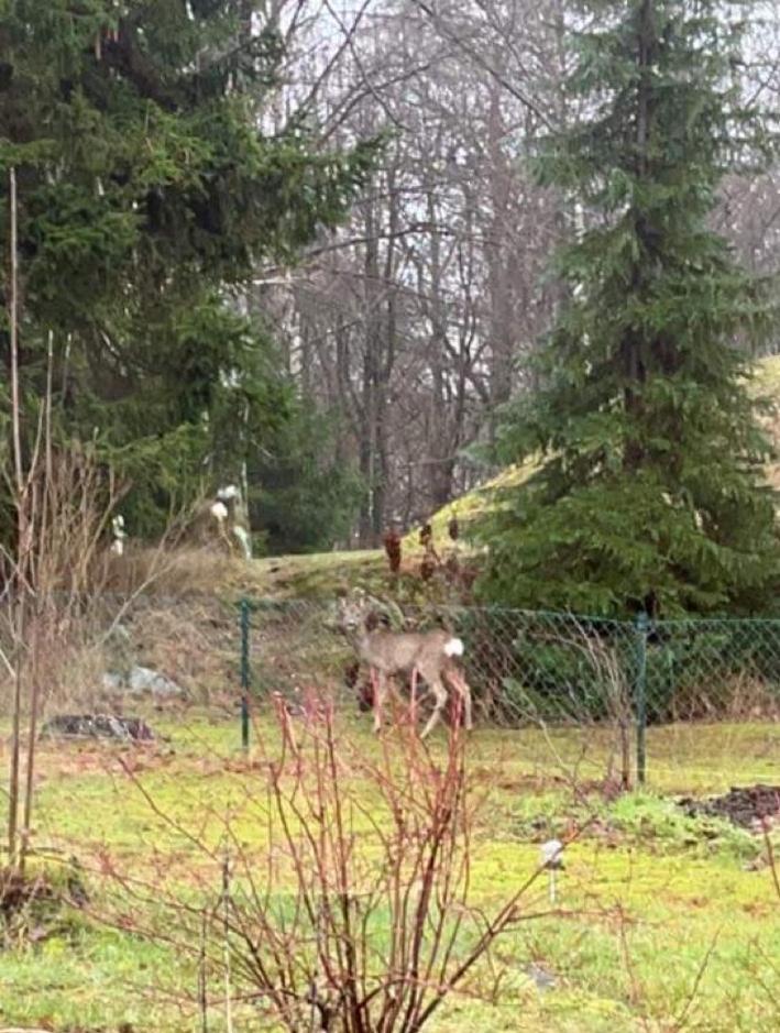 Backahusets B&B Höör Exteriér fotografie